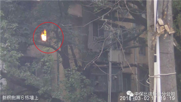 1524814316122996.jpg 圖片21.jpg